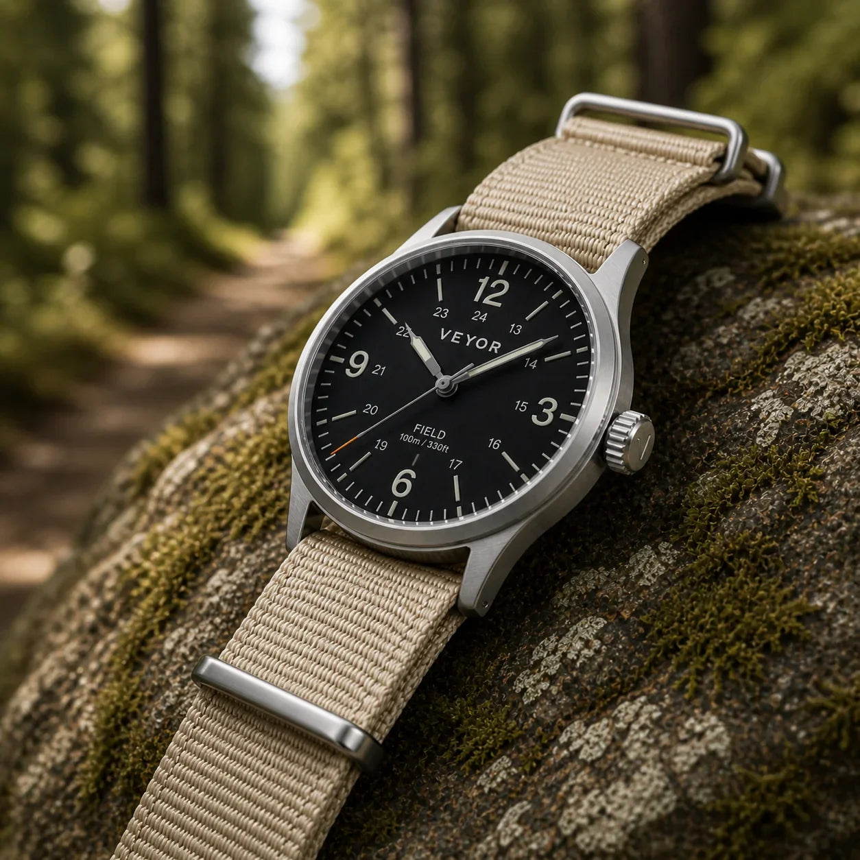 VEYOR Field